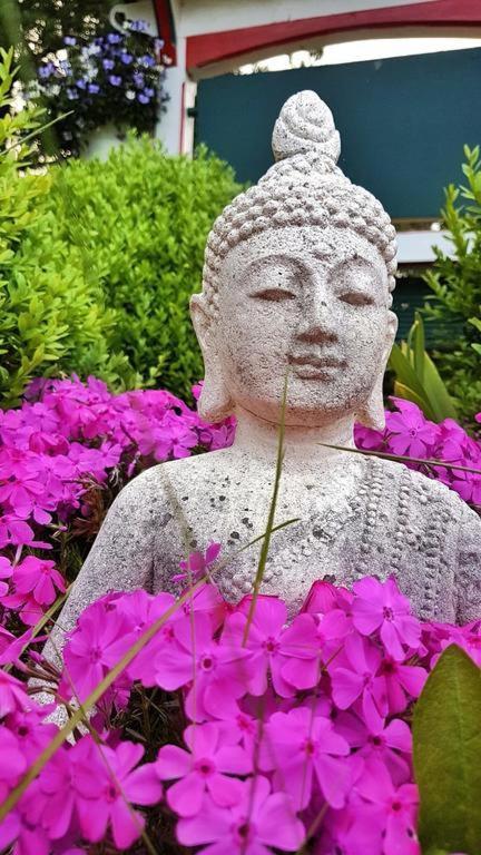Bos En Kasteel Apartment Nideggen Ngoại thất bức ảnh